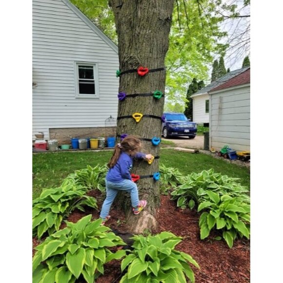 12 Ninja Tree Climbing Holds for Kids Climber, Adult Climbing Rocks with 6 Strap - Picture 1 of 2